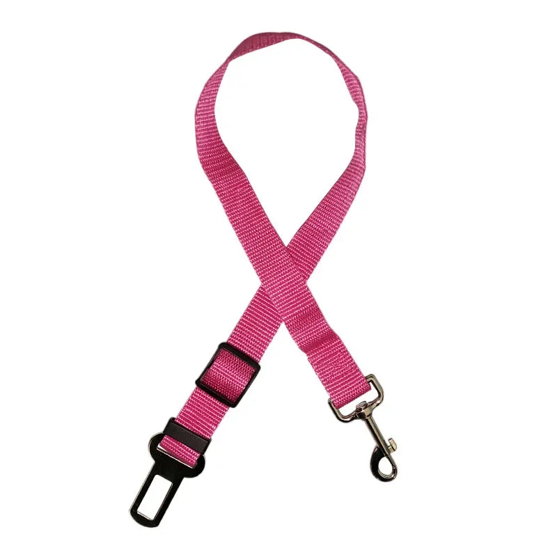 Pink dog leash with a clip on a white background