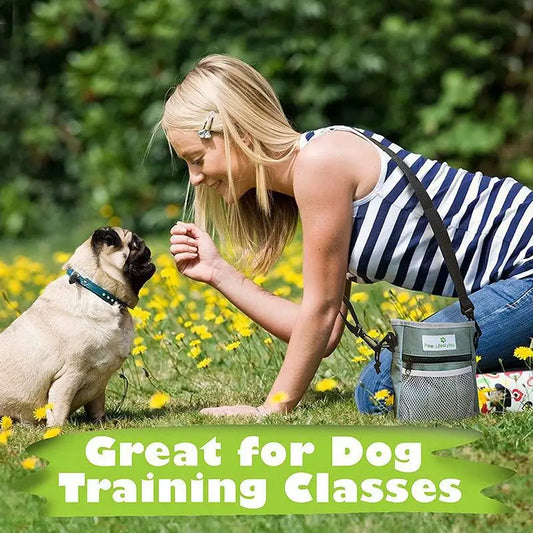 Portable Dog Training Waist Bag Outdoor Treat Snack Bait Pet Feed Storage Pocket Pouch Food Reward Waist Bags Dog Training Bag