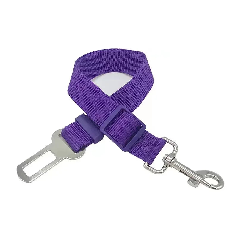Purple dog collar with metal clip on a white background