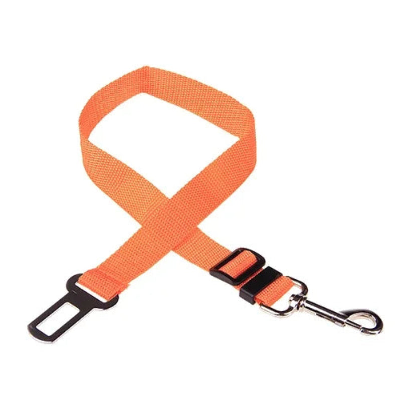 Dog wearing a orange harness and leash in a car, with a close-up of the buckle.