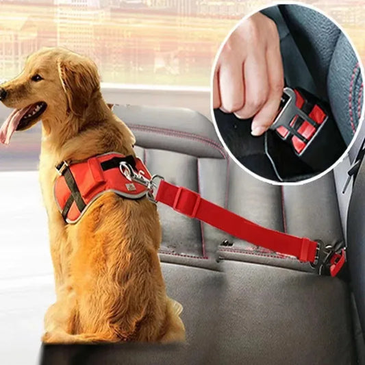Dog wearing a red harness with a seat belt clip on a car seat.