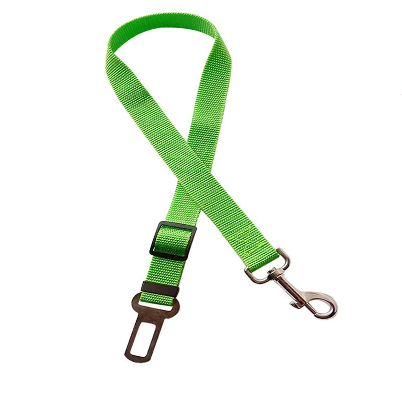 Green dog leash with metal clip on a white background