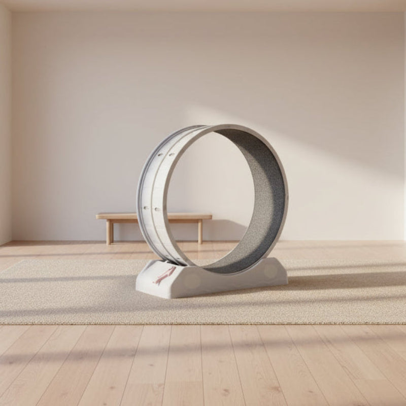Pet exercise wheel with gray interior and white exterior on a white background