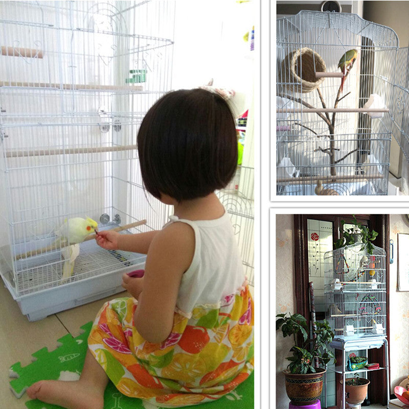 Child interacting with a bird in a cage, with additional views of the bird and cage.