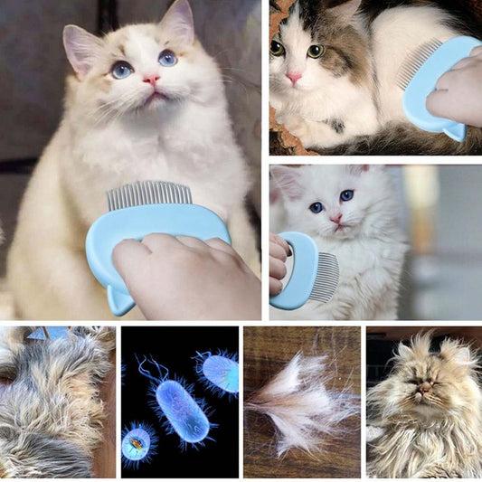 Pet Massage Brush Shell Shaped Handle Pet Grooming Massage Tool To Remove Loose Hairs Only For Cats